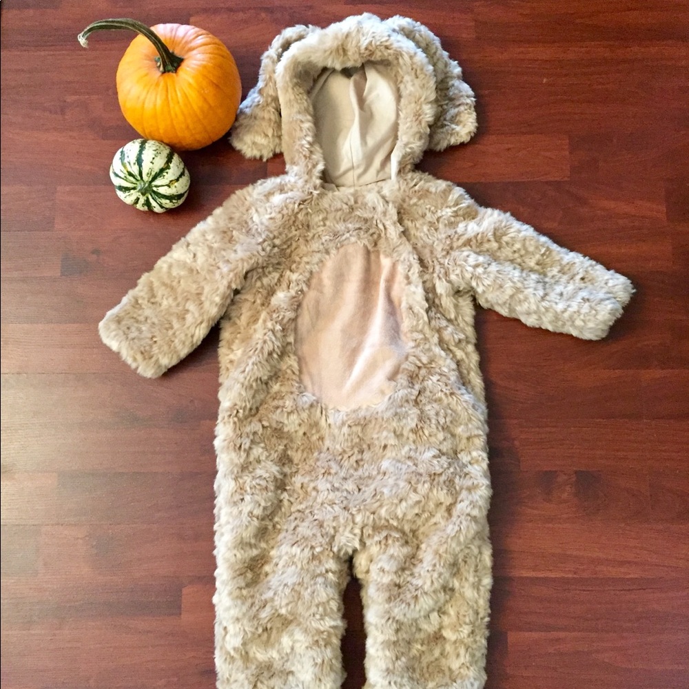 Pottery Barn Kids Halloween Doggy Costume